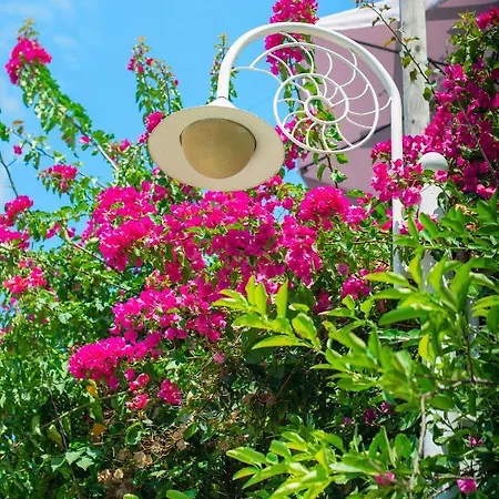 ホテル Bougainville Bay 5*