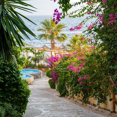 Bougainville Bay