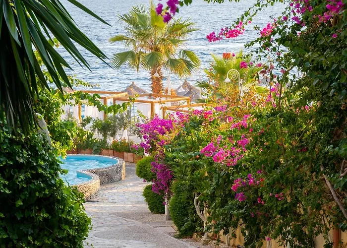 Bougainville Bay